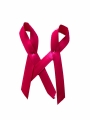 Bild 5 von Pink Ribbon Schleife  / (Mengen) 10