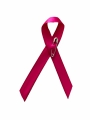 Bild 4 von Pink Ribbon Schleife (die.pink.Charity)  / (Mengen) 10